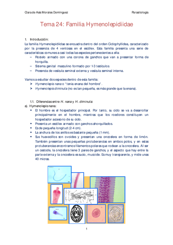 Miniatura del documento Tema 24 Para.pdf