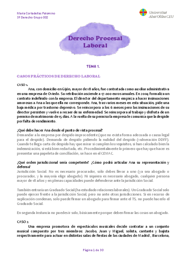 Miniatura del documento D.-Procesal-Laboral.pdf