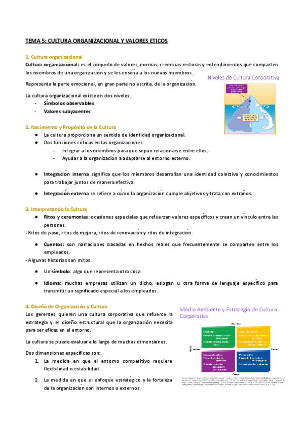 Miniatura del documento TEMA-5-CULTURA-ORGANIZACIONAL-Y-VALORES-ETICOS.pdf