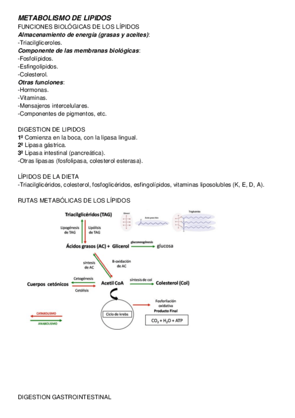 Miniatura del documento ARTI-II.-METABOLISMO-DE-LIPIDOS.pdf