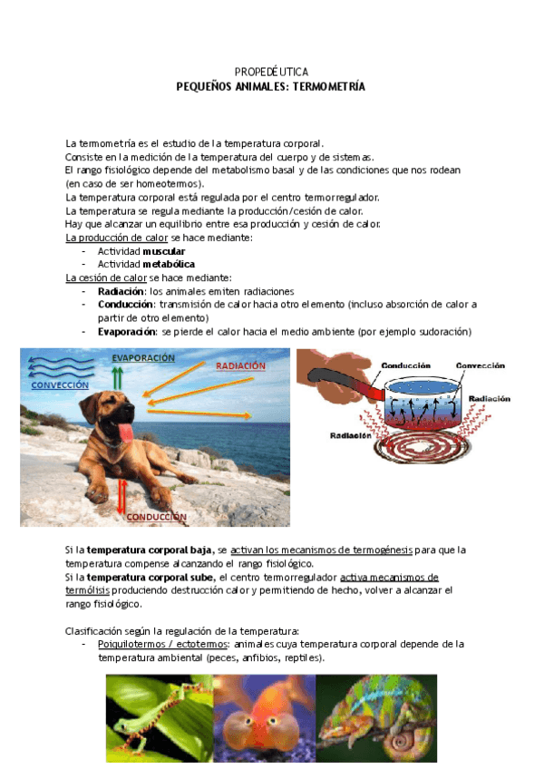 Miniatura del documento 6.-Termometria-clinica.pdf