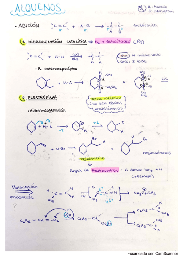 Miniatura del documento Alquenosalquinosarenos.pdf