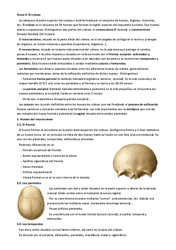 Miniatura del documento Tema-9.-El-craneo.pdf