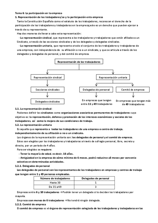 Miniatura del documento Tema-6.-La-participacion-en-la-empresa.pdf