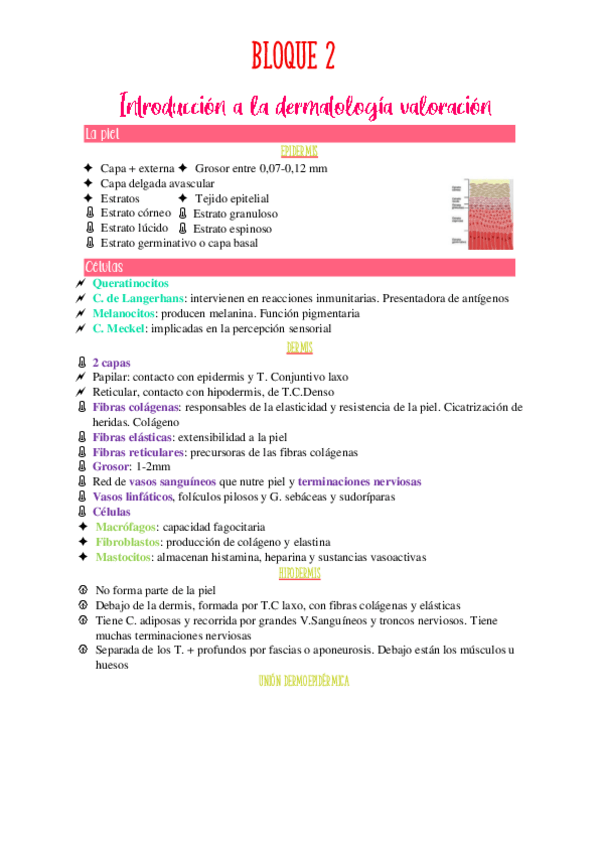 Miniatura del documento Piel-Enfermeria-clinica.pdf