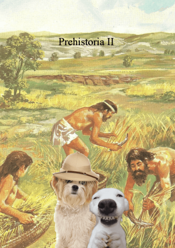 Miniatura del documento Apuntes Prehistoria II.pdf