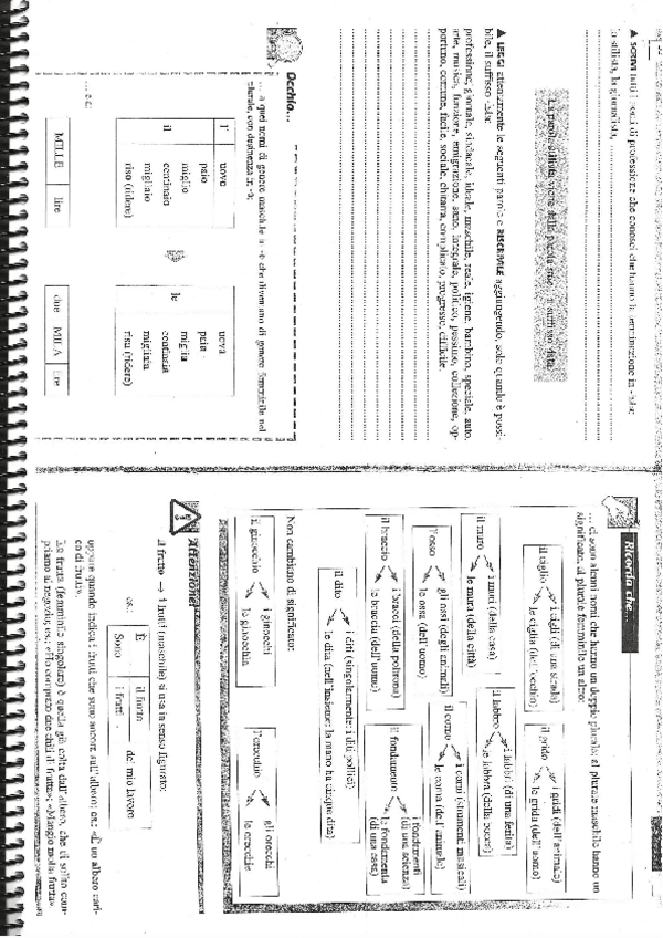 Miniatura del documento FORMAZIONE-PLURALE-E-FEMMINILE-2.pdf