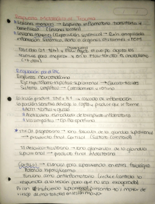 Miniatura del documento Cx-Respuesta-metabolica-al-trauma.pdf