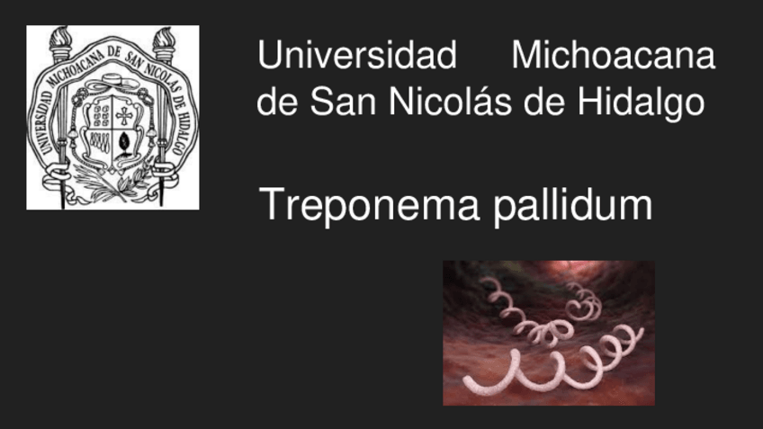 Miniatura del documento Treponema-pallidum-Sifilis.pdf