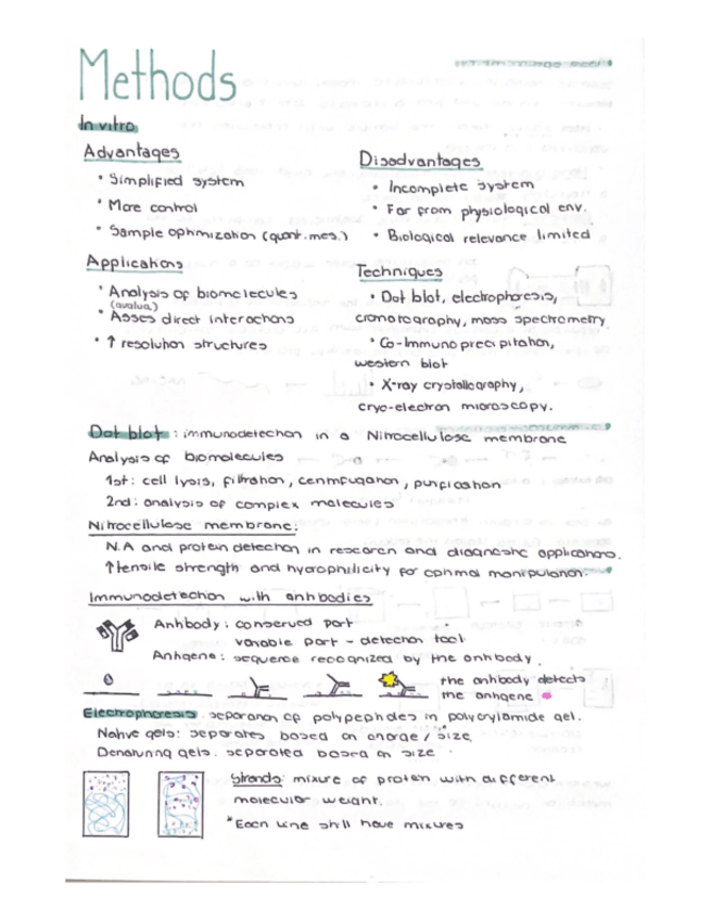 Miniatura del documento methods.pdf