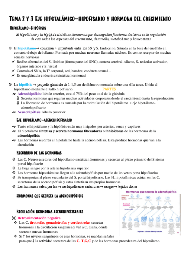 Miniatura del documento Tema-2-3.pdf