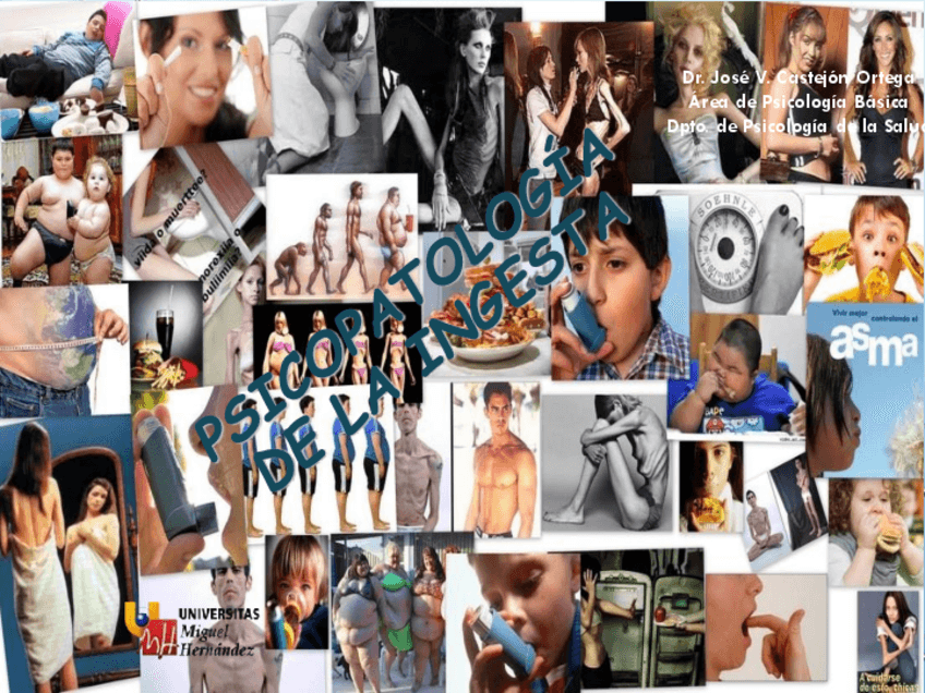 Miniatura del documento 21-Psicopatologia-Ingesta.pdf