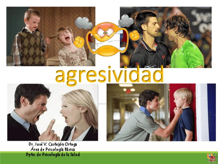 Miniatura del documento 25-Agresividad.pdf