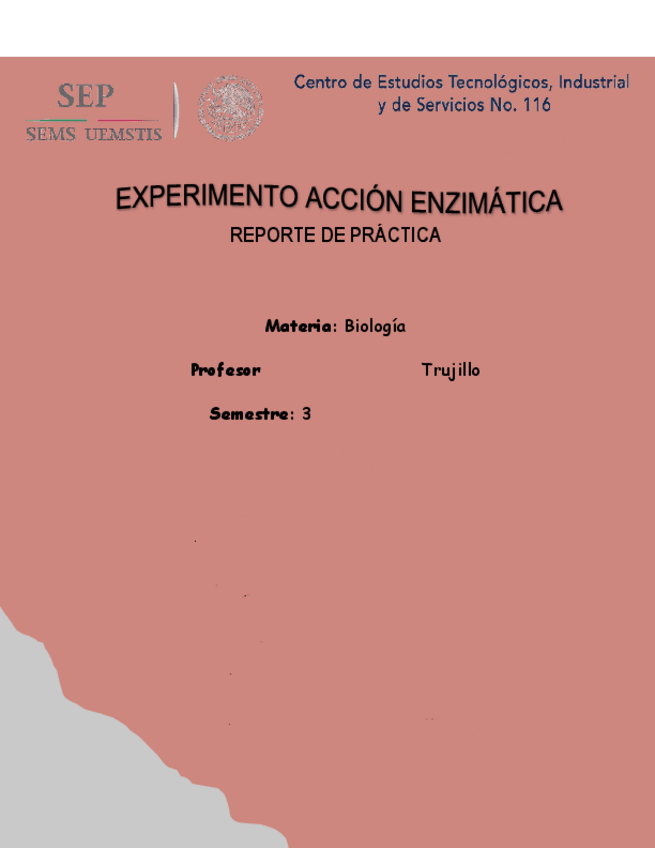 Miniatura del documento Experimento-accion-enzimatica-3er-semestre.pdf
