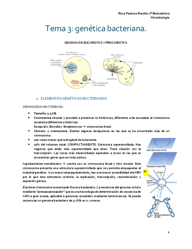 Miniatura del documento tema 3 genetica bacteriana.pdf