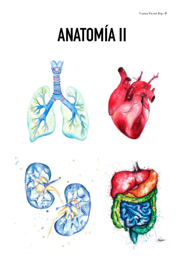 Miniatura del documento Parcial 1 (músculos y tórax).pdf