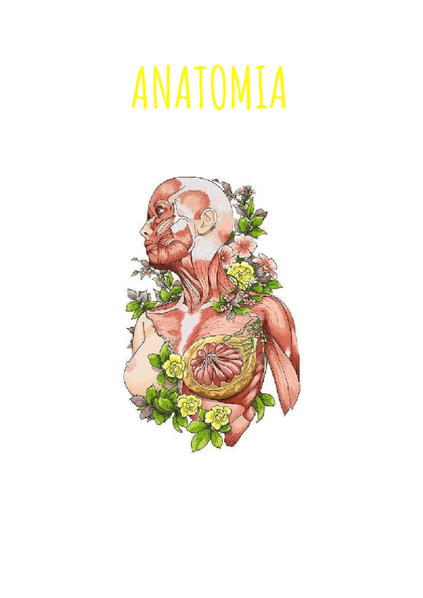 Miniatura del documento ANATOMIA-Histologia-Nervios-i-Locomotor.pdf