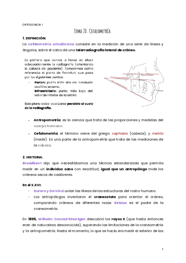 Miniatura del documento TEMA-28-ORTO.pdf