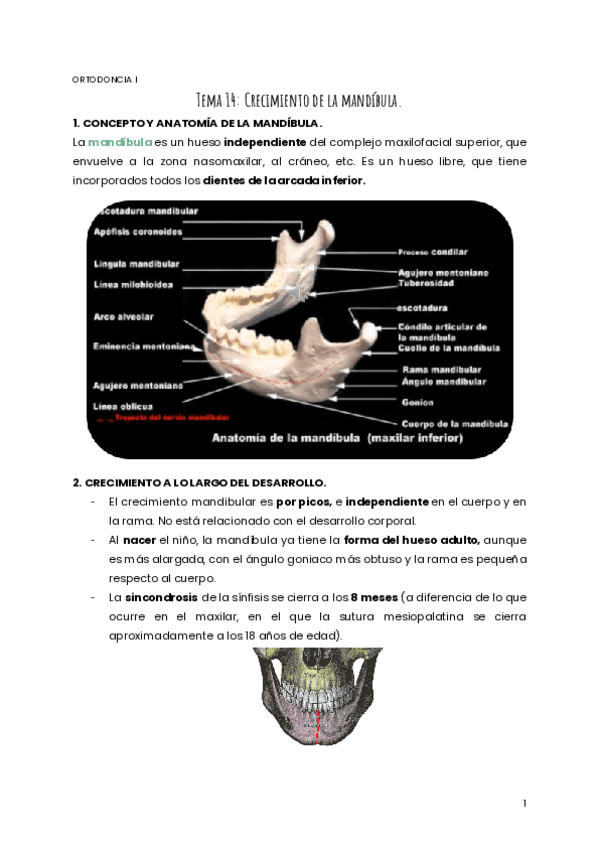 Miniatura del documento TEMA-14-ORTO.pdf