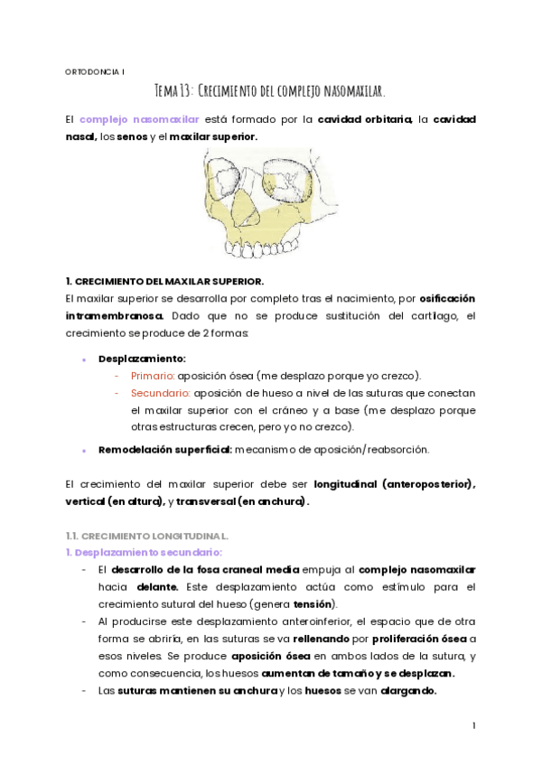 Miniatura del documento TEMA-13-ORTO.pdf