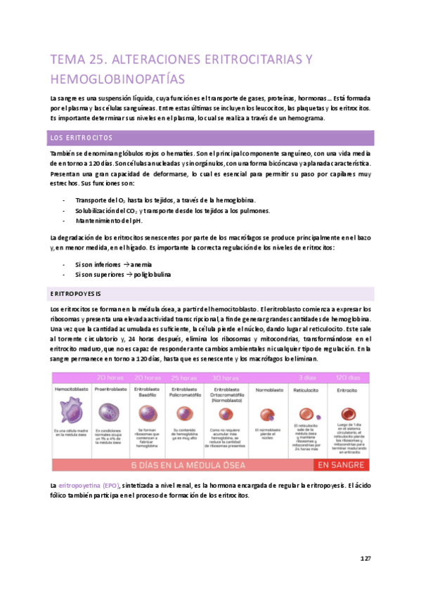 Miniatura del documento Tema-25.-Enfermedades-eritrocitarias-y-hemoglobinopatias.pdf
