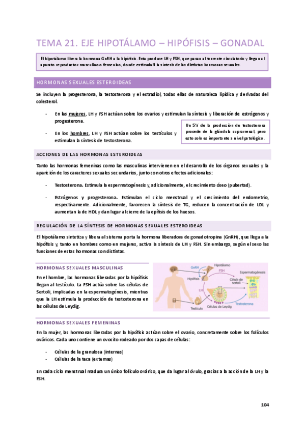 Miniatura del documento Tema-21.-Hipotalamo-hipofisis-gonadal.pdf