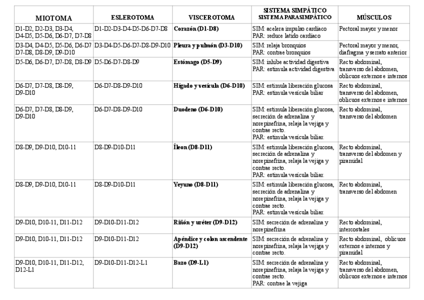 Miniatura del documento METAMERA-PROYECCIONES-DE-ORGANOS.pdf