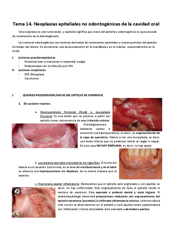 Miniatura del documento Tema 14. APatológica.pdf