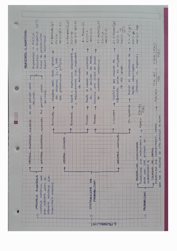 Miniatura del documento RESUMS-BIOESTADISTICA.pdf