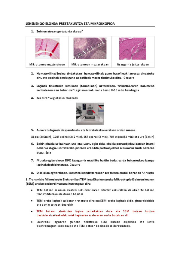Miniatura del documento LEHENENGO-BLOKEA-PRESTAKUNTZA-eta-MIKROSKOPIOA.pdf
