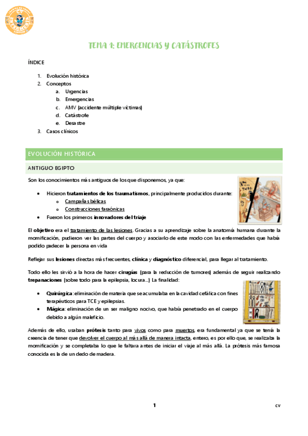 Miniatura del documento TEMA-1-EMERGENCIAS-Y-CATASTROFES.pdf