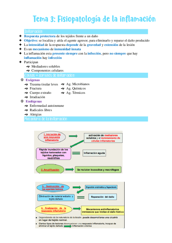 Miniatura del documento Tema-3.pdf