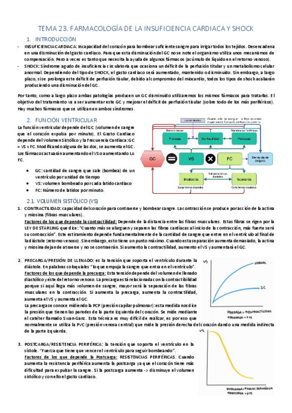 Miniatura del documento UDIII-cardiovascular.pdf