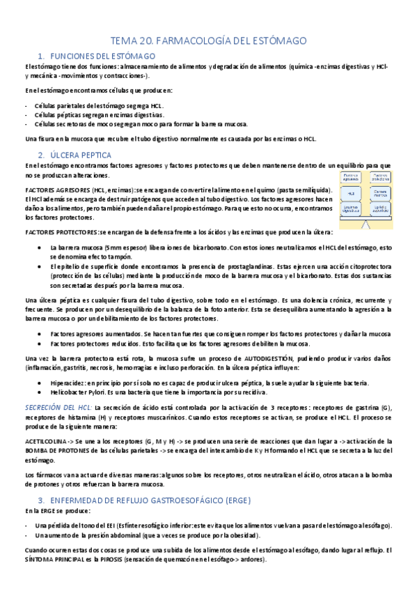 Miniatura del documento UDIII-digestivo.pdf