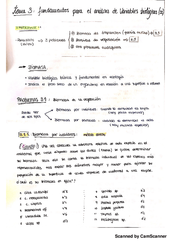 Miniatura del documento TEMA 3.pdf