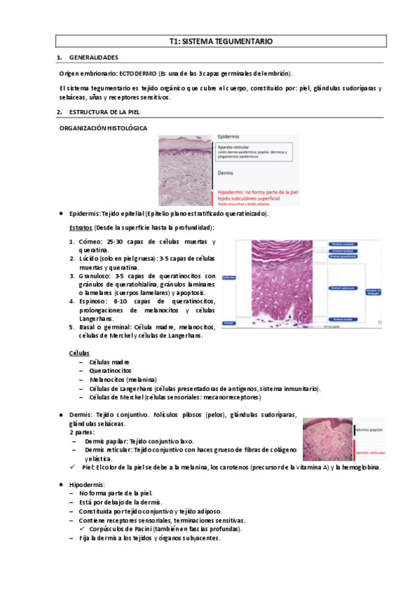 Miniatura del documento FISIOLOGIA-II2023.pdf
