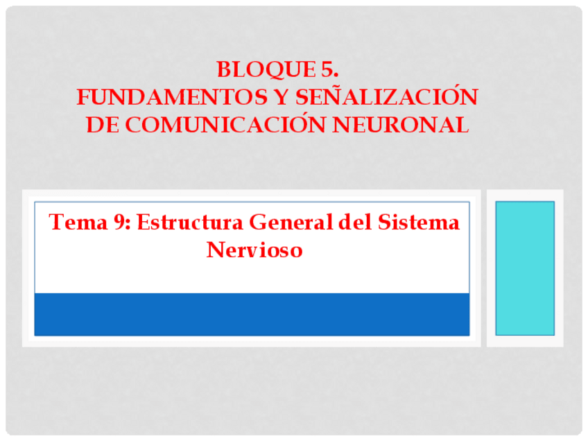 Miniatura del documento TEMA-9.-Estructura-General-SN.pdf