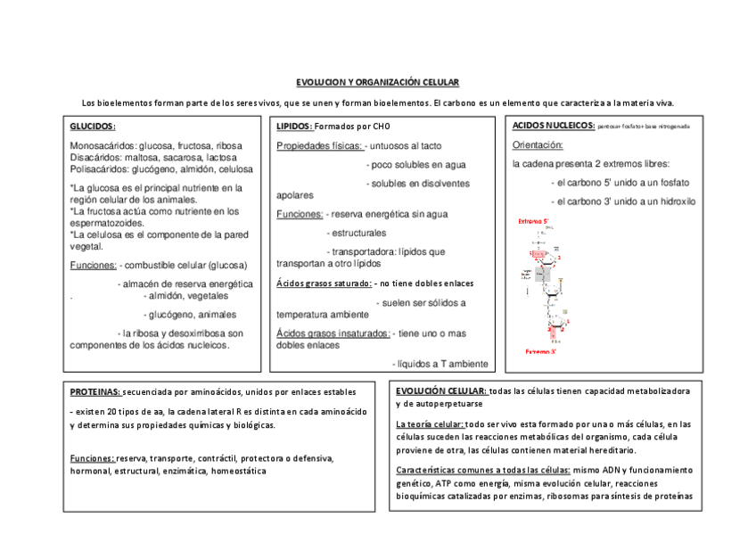 Miniatura del documento EVOLUCION-Y-ORGANIZACION-CELULAR.pdf