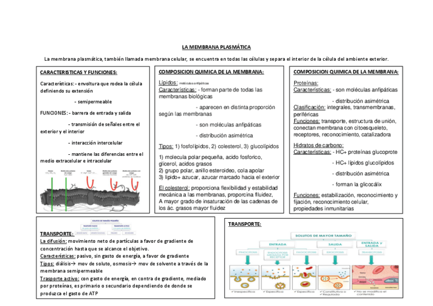 Miniatura del documento LA-MEMBRANA-PLASMATICA.pdf