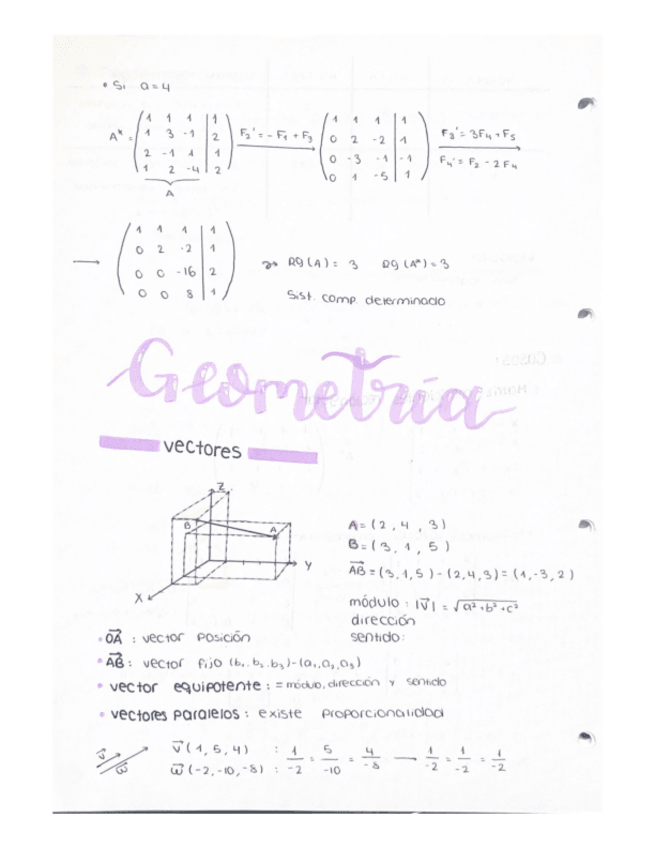 Miniatura del documento Matematicas-II-Geometria.pdf