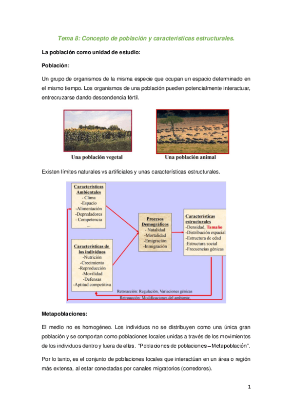 Miniatura del documento APUNTES-BLOQUE-3-BELEN.-ECOLOGIA.pdf