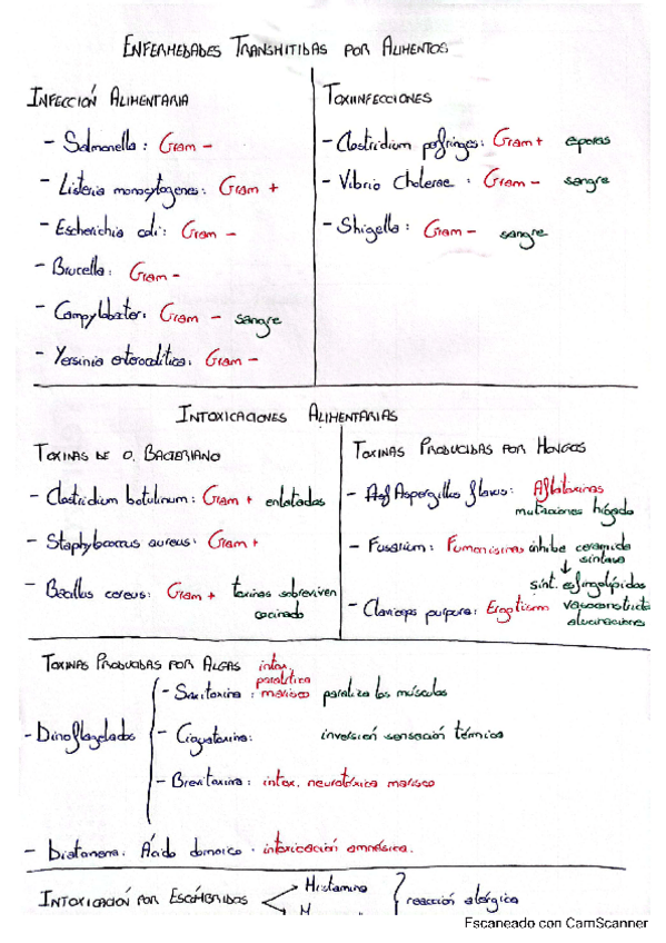 Miniatura del documento Esquema-enfermedades-transmitidas-por-alimentos.pdf