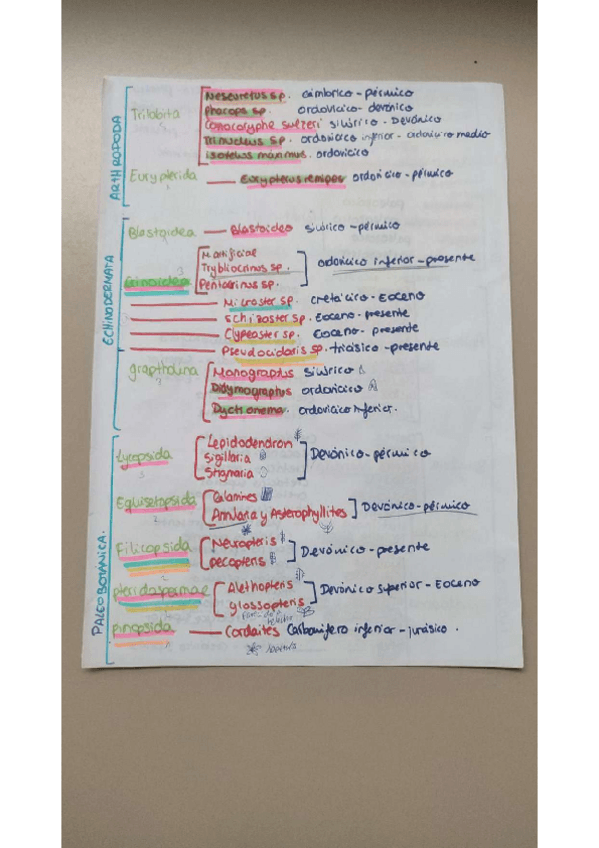 Miniatura del documento Edad-geologica-de-las-practicas.pdf