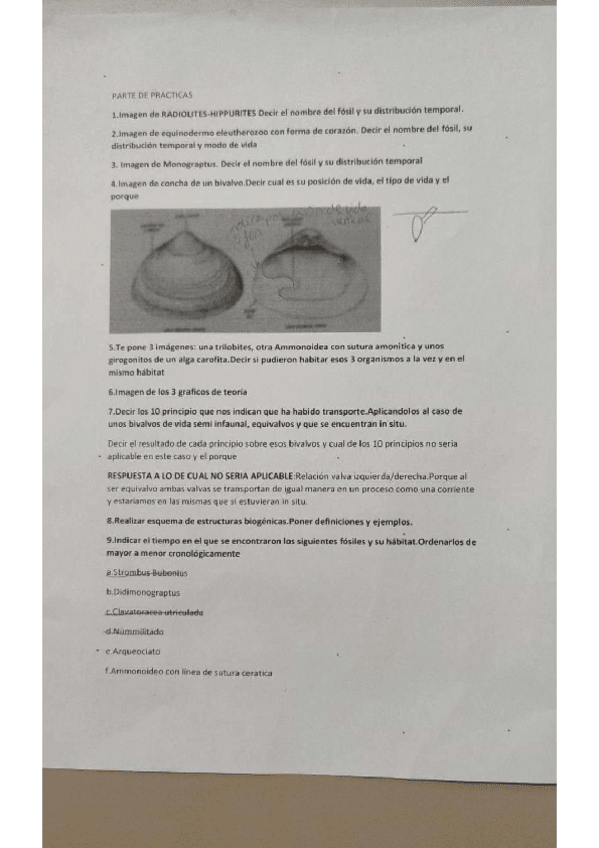 Miniatura del documento paleo-examen-redactado.pdf