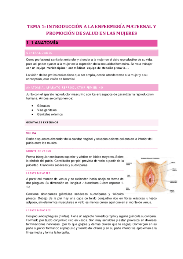 Miniatura del documento TEMARIO-DE-E.-MATERNAL.pdf