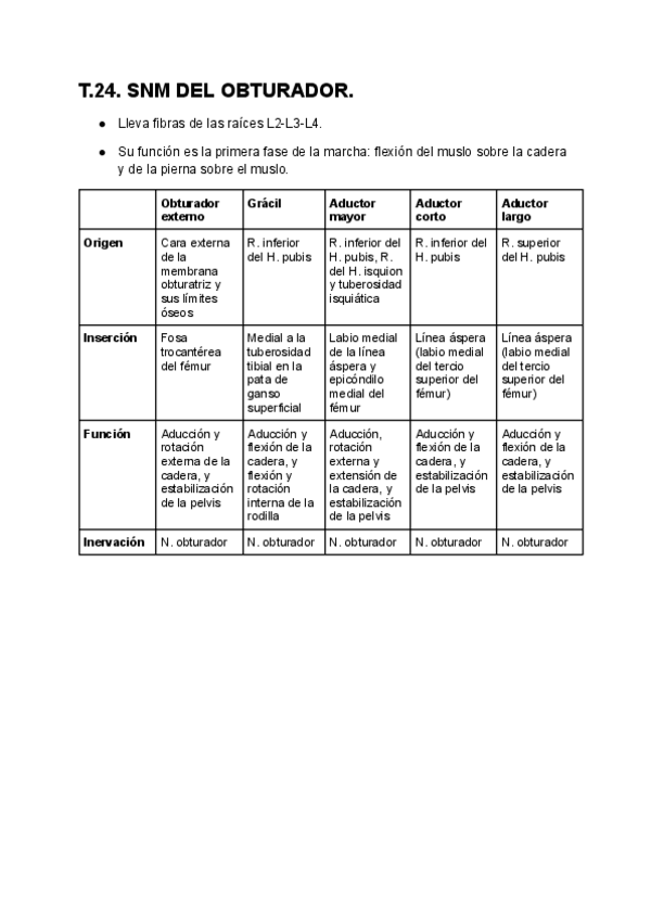 Miniatura del documento T.24.-Snm-del-obturador.pdf