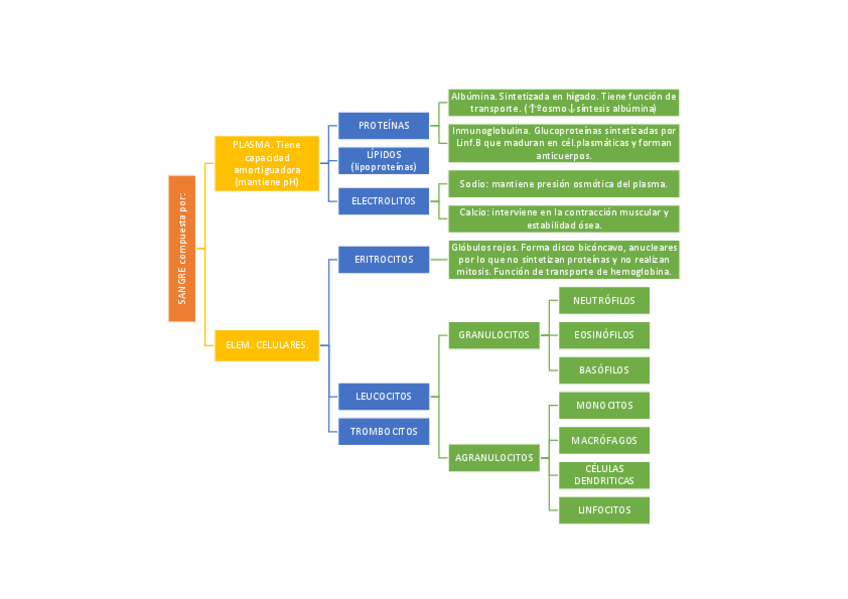 Miniatura del documento esquema-hemato.pdf