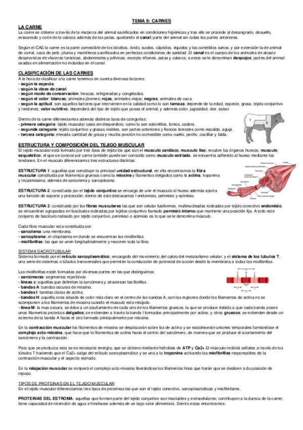 Miniatura del documento Carne.pdf