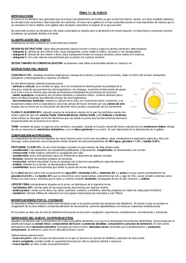 Miniatura del documento Huevo.pdf
