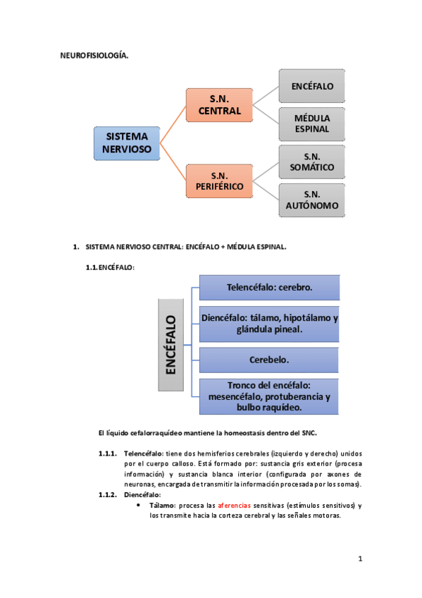 Miniatura del documento NEUROFISIOLOGIA.pdf